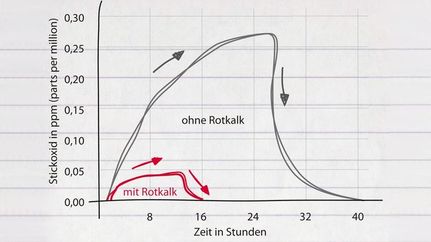 Knauf Rotkalk: Putze für Ihre Wohngesundheit